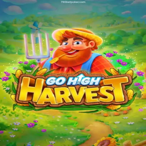 Exploring the Dynamics of GoHighHarvest